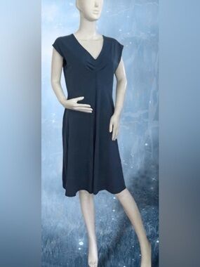Patagonia Blue Cap Sleeve V-Neck Pleated Front Bandha Casual Dress Large